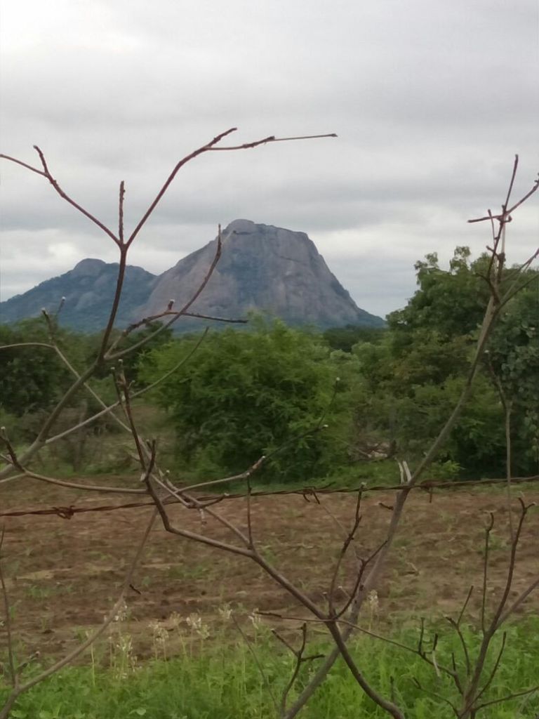 Zhanje Mountain, Neshuro Zimbabwe