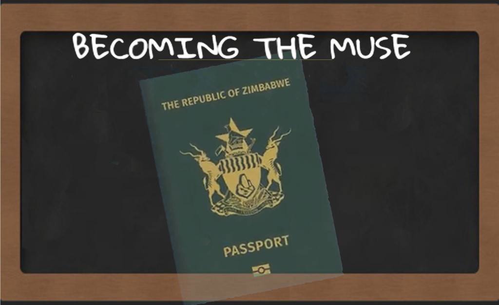 Of The Zimbabwean E-Passport Application Experience