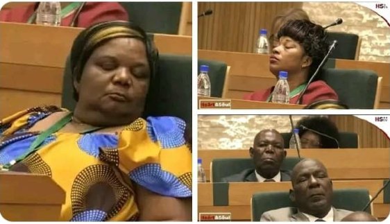 sleeping members of parliament in the new parliament of Zimbabwe 