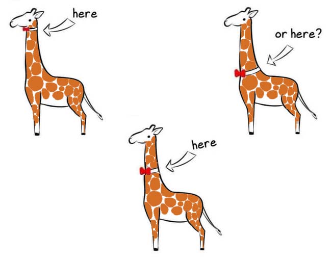where does a giraffe wear its bow tie
