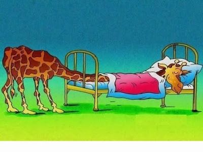 Giraffe sleeping in bed